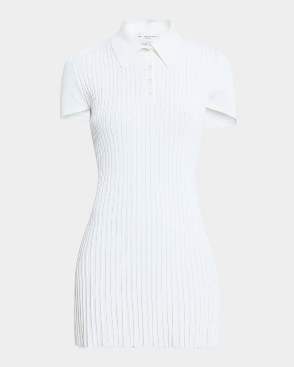 Alice Pleated Polo Mini Dress